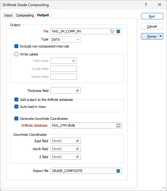 The Output options on the Drillhole Grade Composite form